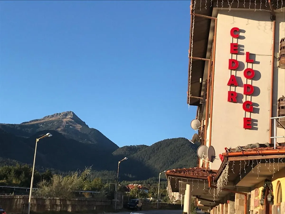 Ski Zone At Gondola, Perfect One Bdrm, Fast Wifi, Netflix, Quiet, Warm Bansko 0*,