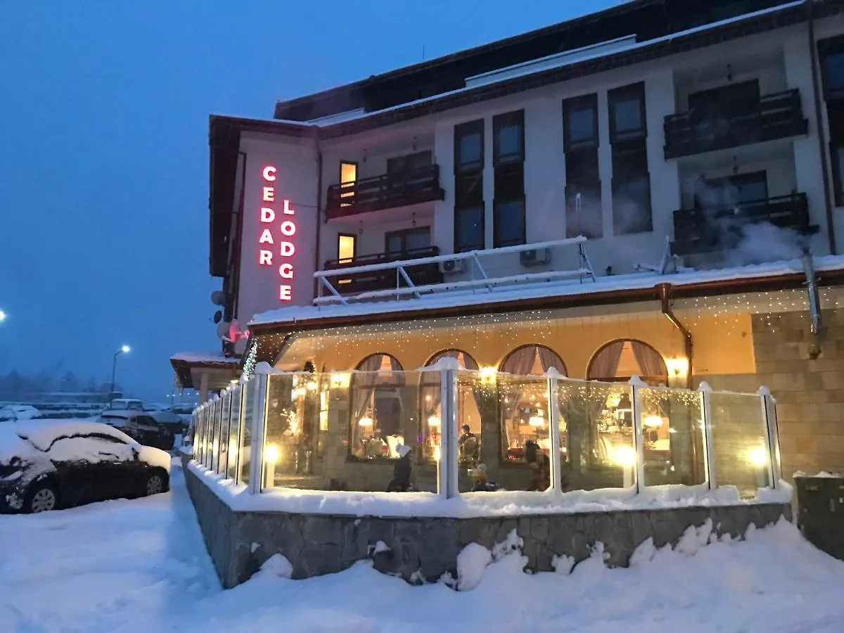 Ski Zone At Gondola, Perfect One Bdrm, Fast Wifi, Netflix, Quiet, Warm Bansko 0*,  Bulharsko